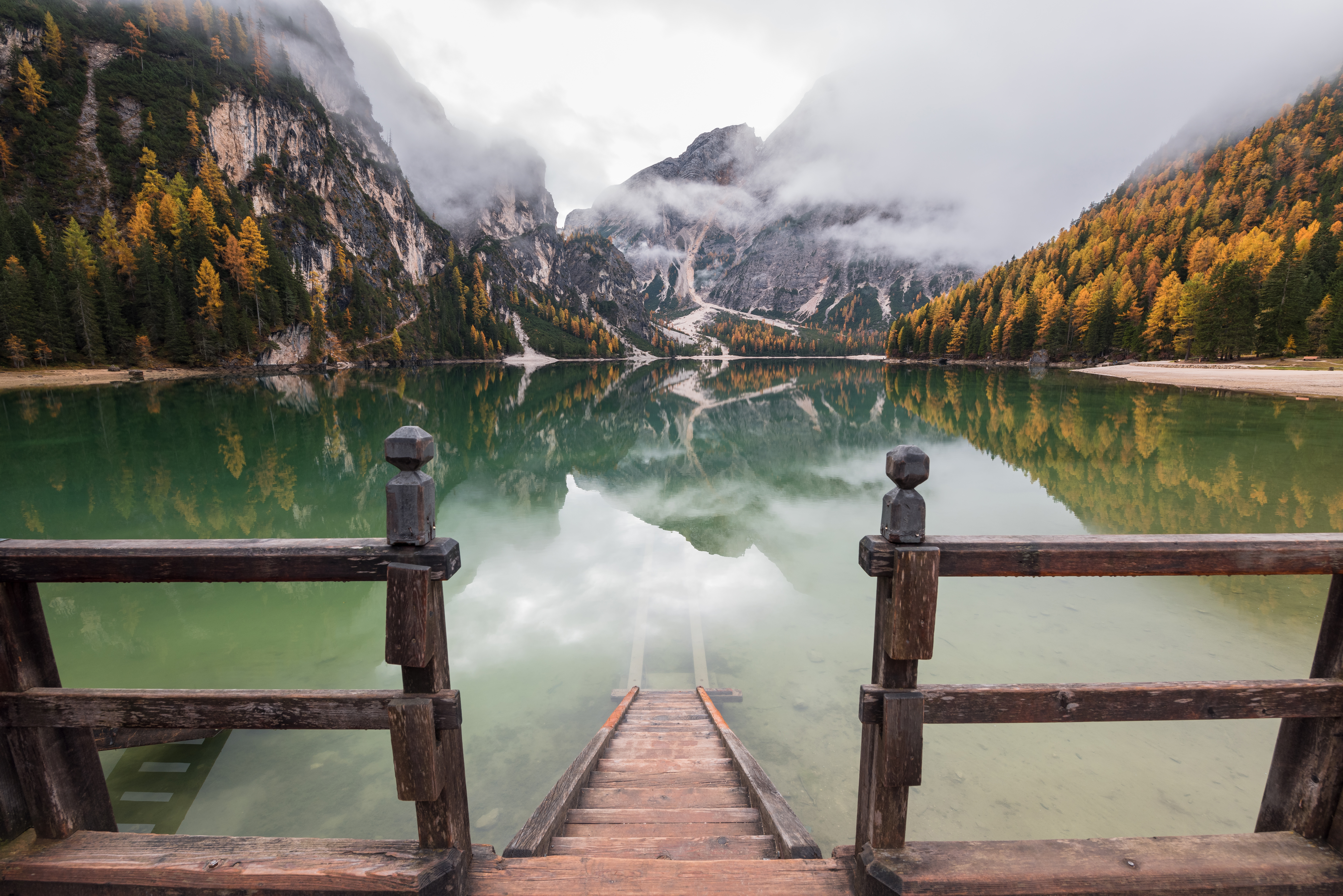 forest and mountians