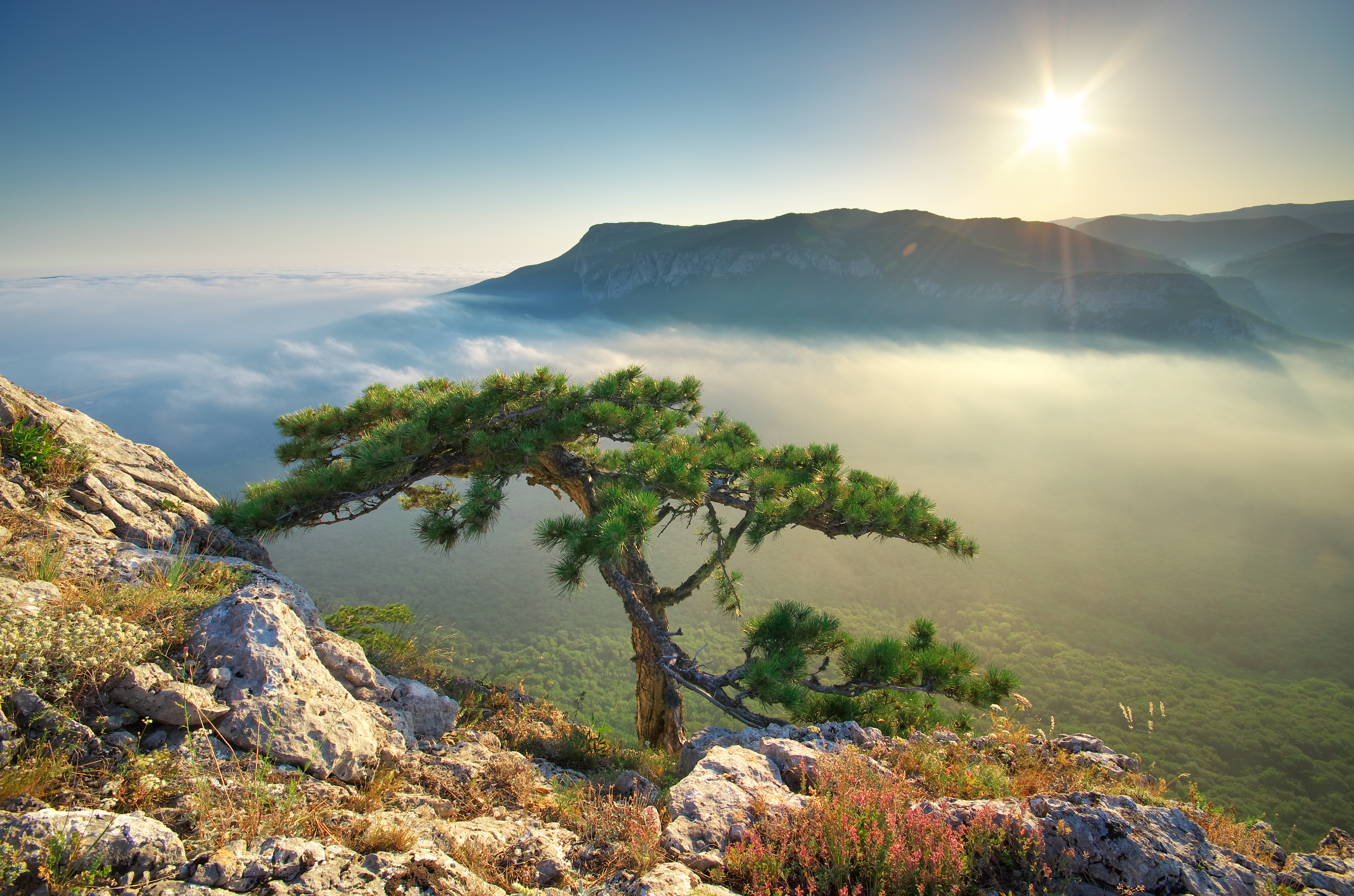 mountain-landscape